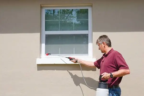 Exterior Window Washing