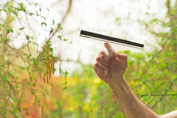 Home Window Cleaning Expert