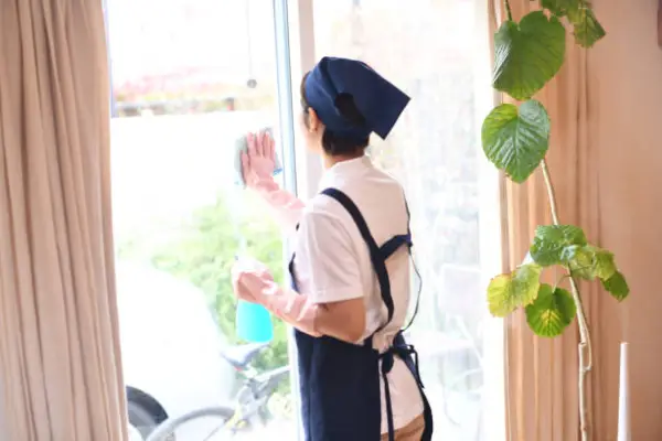 Home Window Cleaning