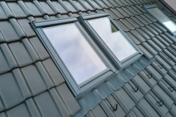Professional Skylight Cleaning