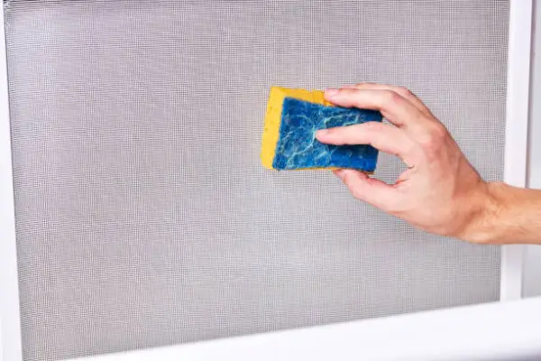 Window Screen Cleaning Expert