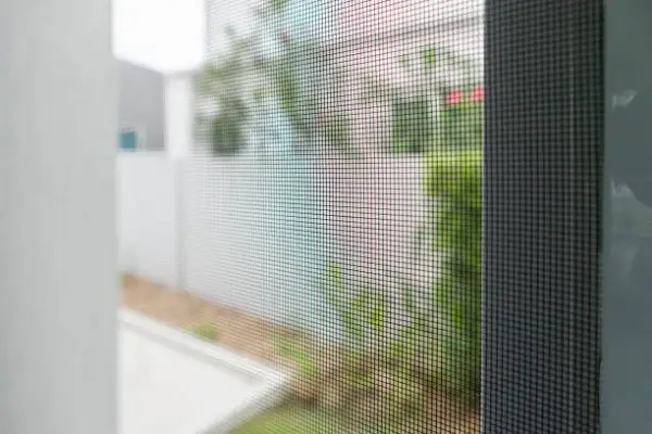 Window Screen Cleaning Projects