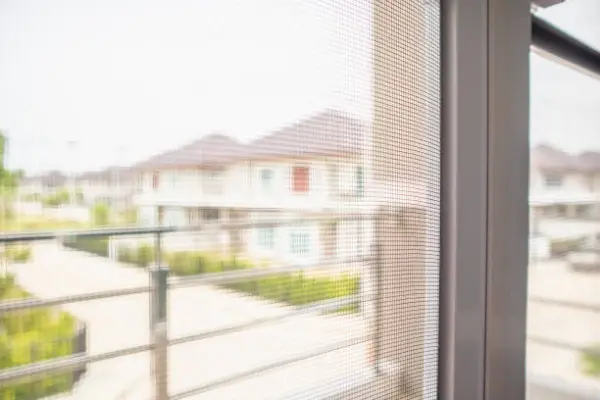 Expert Window Screen Cleaning