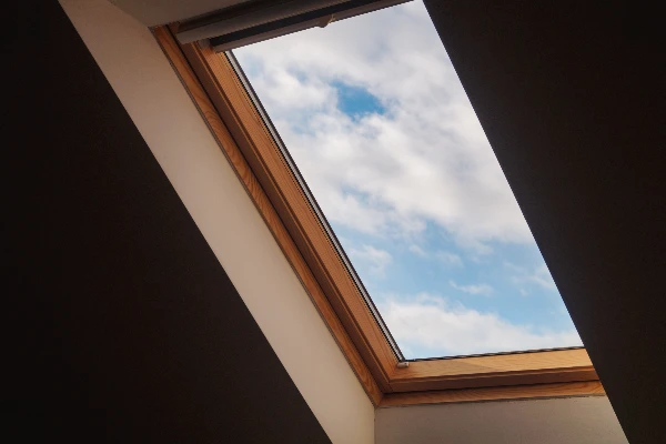 Skylight Cleaning
